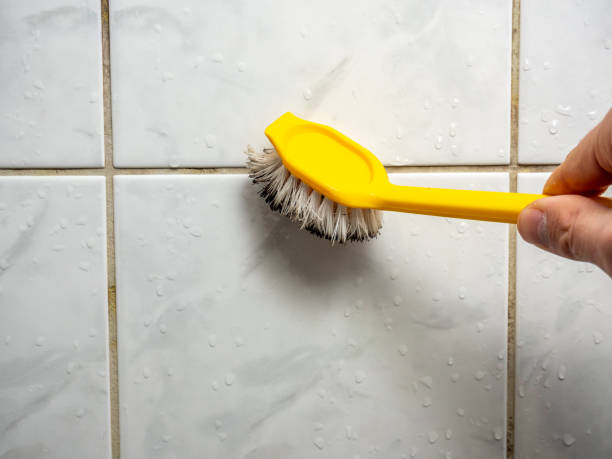 Best Toxic Mold Removal  in Estherville, IA