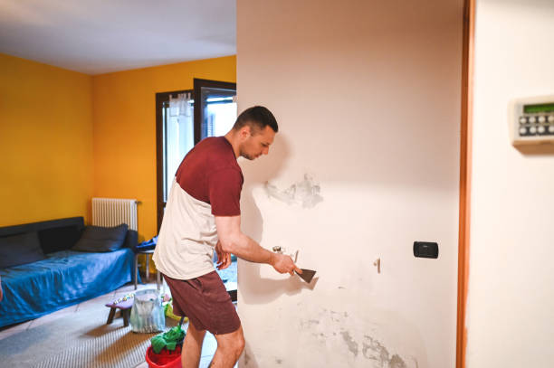 Best Mold Damage Repair  in Estherville, IA
